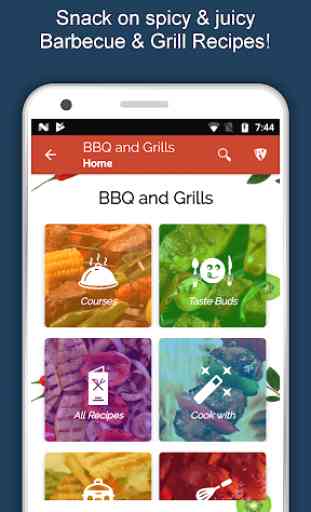 Barbecue Grill Recipes Offline, BBQ, Roast Food 2