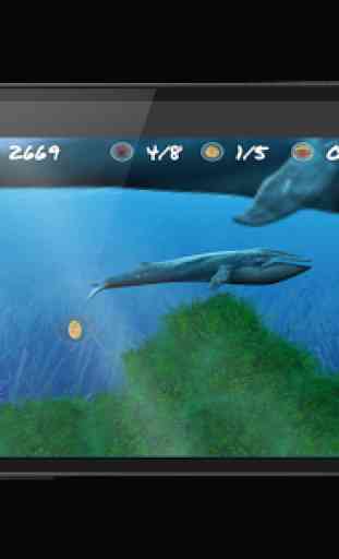 Wonder Fish Jogos Grátis HD 1