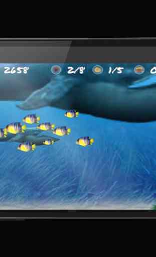 Wonder Fish Jogos Grátis HD 4