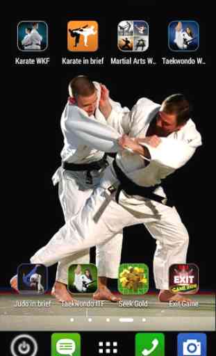 Martial Arts Wallpaper 1
