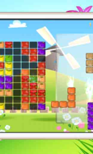 Legend Block Puzzle - fruta saborosa e tijolos chama tórridas 2