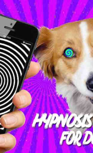 Real Hypnotizer For Dogs 1