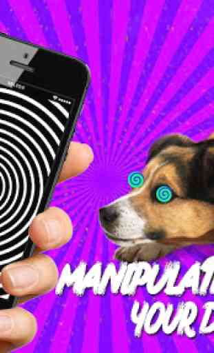 Real Hypnotizer For Dogs 2