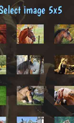 Tile Puzzles · Horses 1