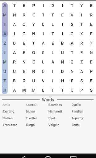 Word Search Master 3