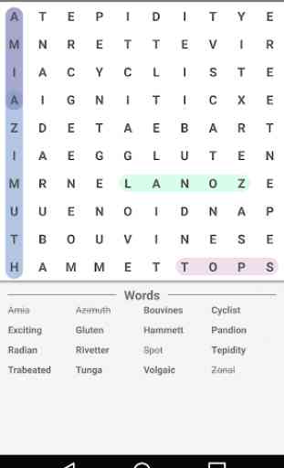 Word Search Master 4
