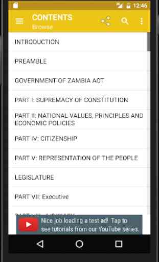 Zambian Constitution 2