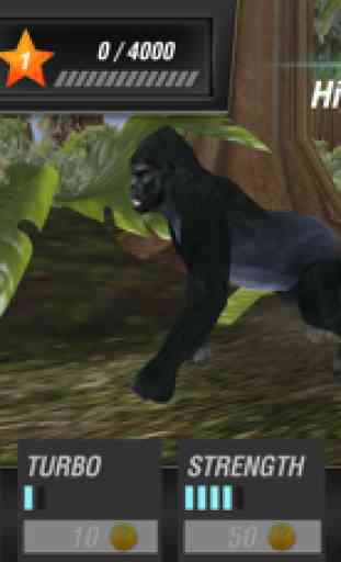 Macaco Kong na Floresta 2
