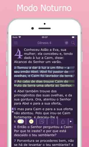 Bíblia da Mulher em Português 4