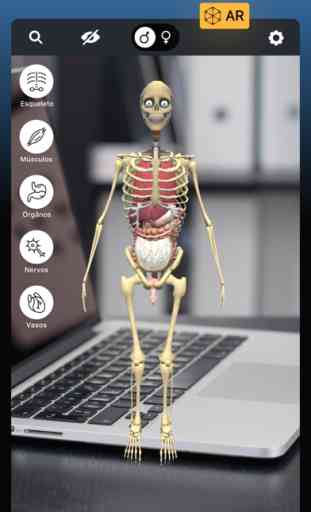 RA Anatomia Humana 3D 1