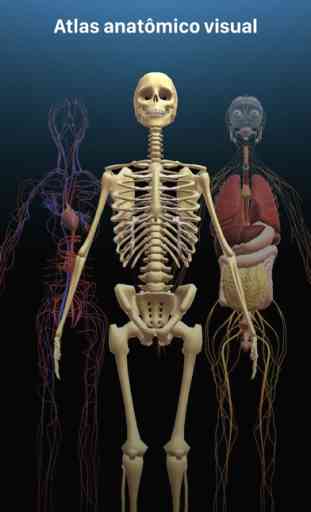 RA Anatomia Humana 3D 2