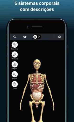RA Anatomia Humana 3D 3
