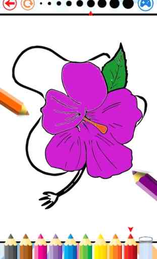 Flores Livro de coloração para as crianças-Desenho 2