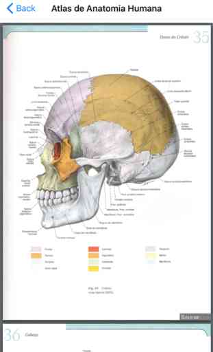 Atlas de Anatomia Humana 2018 1