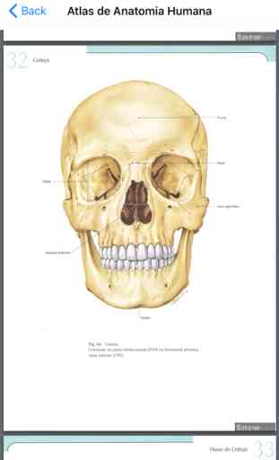 Atlas de Anatomia Humana 2018 4