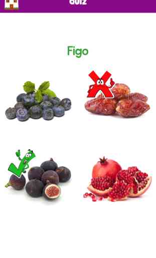 Frutas e Vegetais 3