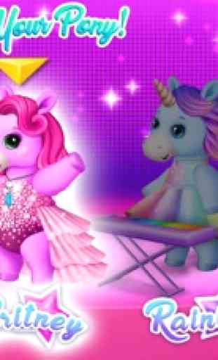 Pony Sisters Pop Music Band 2