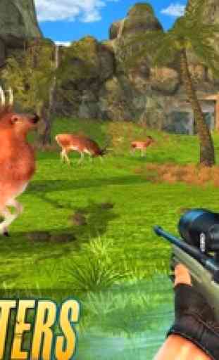 Real Animal Hunting Game 1