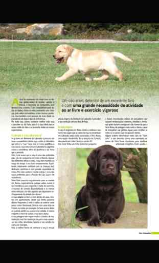 Cães & Companhia revista 3
