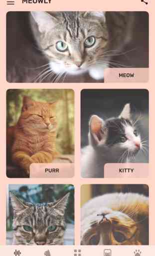 Cat App - Meowly Cats 1