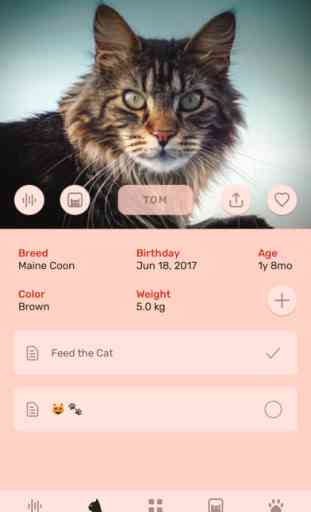 Cat App - Meowly Cats 2
