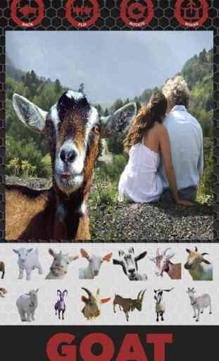 Goat stickers - adesivos de cabra de editor foto 1