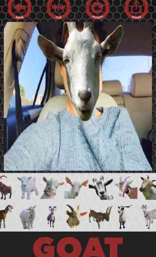 Goat stickers - adesivos de cabra de editor foto 4