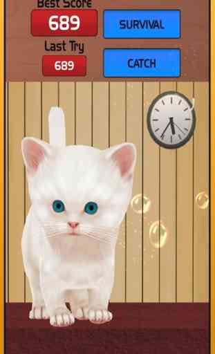 Lost Cat running jogo para crianças - Angela Pet K 1