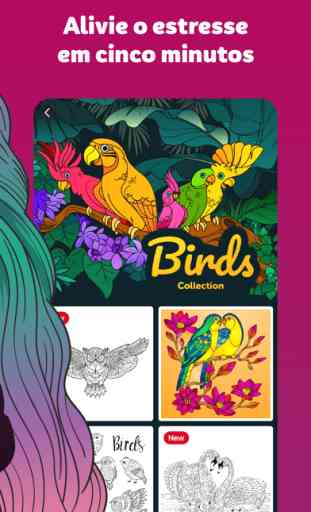Lotus: um livro de colorir 2