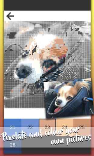 Pixel Imagem - Coloring Book 1