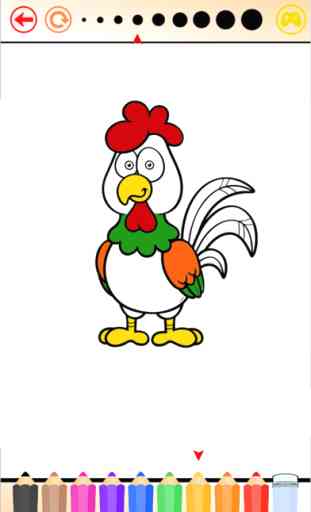 Turquia & Chicken - Livro de coloração para mim 2
