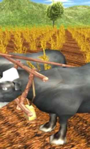 Virtual Agricultor Pai Vida 3D 1
