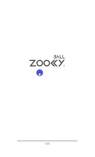 Zookky Ball 1