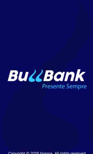 BullBank 1