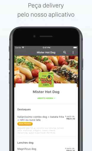 Mister Hot Dog Delivery 1