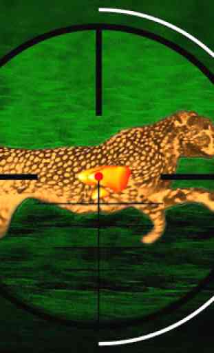 Cheetah Hunter 2016 - guepardo 1