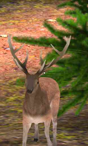 Deer Sniper: Hunting Game 1