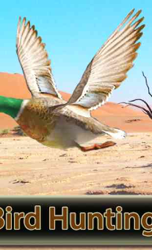 Desert Birds Sniper Shooter - caça de aves 2019 1