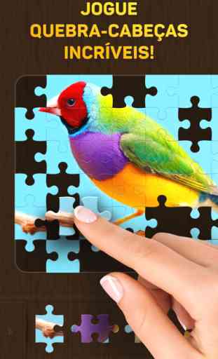 Jigsaw Puzzle Guru 1