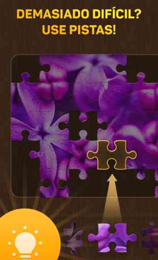 Jigsaw Puzzle Guru 4