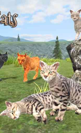 Clan of Cats 1