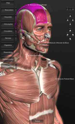 Introdução Anatomia Humana 3D 1