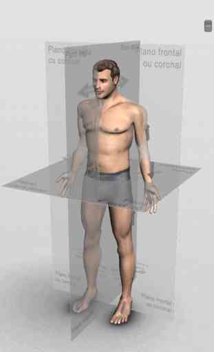 Introdução Anatomia Humana 3D 2