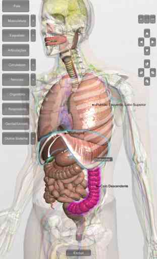 Introdução Anatomia Humana 3D 4