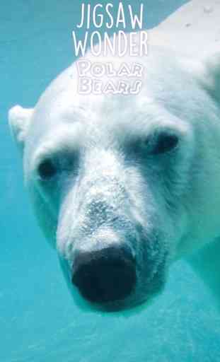 Pergunto-cabeça Quebra-cabeças de Urso Polar para Crianças Grátis 3