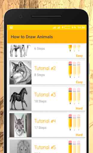 Como Desenhar Animais 1