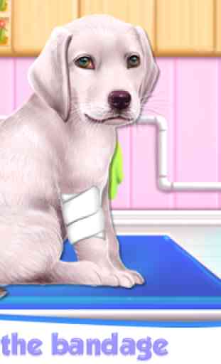 Labrador Puppy Day Care 1