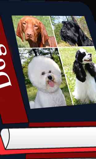 Lista de raças de cães 1
