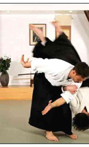 Aprenda aikido e artes marciais 1
