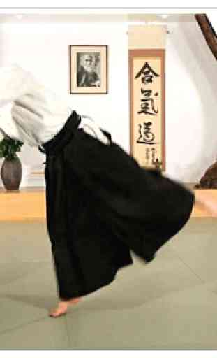 Aprenda aikido e artes marciais 2